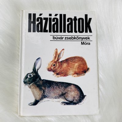 Háziállatok búvár zsebkönyv