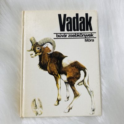 Vadak búvár zsebkönyv