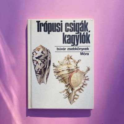 Trópusi csigák, kagylók búvár zsebkönyv