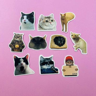 Macskás matrica csomag