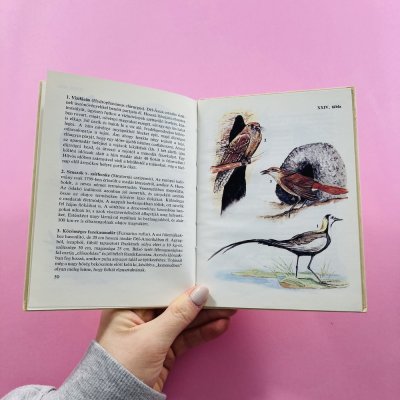 Különös állatok zsebkönyv